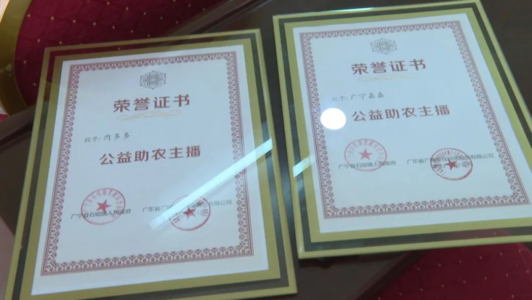 廣東廣電網(wǎng)絡(luò)：智慧廣電網(wǎng)絡(luò)平臺(tái)，開(kāi)啟廣寧農(nóng)產(chǎn)品銷(xiāo)售新格局